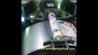 Silicon Cartridge Tube Printing Machine  GoldStar® Dry Offset Pvt Ltd [upl. by Ama416]