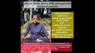 Kapalabhati pranayama කපාලභාතී ප්‍රාණයාම manushiyoga yogawithmanushi yoga pranayama [upl. by Guzel]