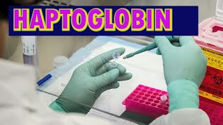 HAPTOGLOBIN [upl. by Aivatnohs686]