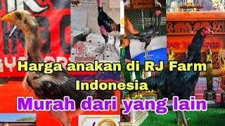 Harga anakan di RJ Farm Indonesia [upl. by Tadd]