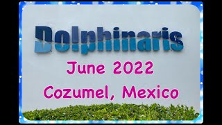 Dolphinaris Cozumel June 2022 [upl. by Mit168]