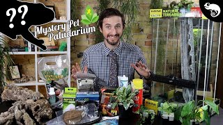 DIY WATERFALL PALUDARIUM For MYSTERY PET From Joshs Frogs [upl. by Lambard]