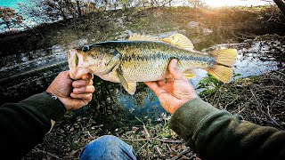 Creek Fishing Gilleland Creek [upl. by Orson]