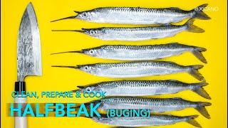 HALFBEAK FISH Buging  Clean Fillet amp Cook [upl. by Radborne]