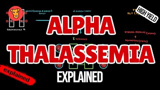 AlphaTHALASSEMIA Pathogenesis Electrophoresis Clinical symptoms for USMLE [upl. by Yecats]