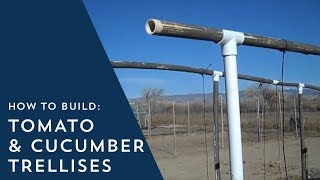 How to Build Tomato and Cucumber Trellises [upl. by Airasor95]