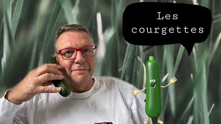 Les courgettes et compagnie cucurbitacées [upl. by Mert612]