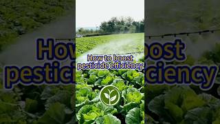 How to boost pesticide efficiency shortvideo howto garden youtubeshorts viralvideo plants [upl. by Attenra328]