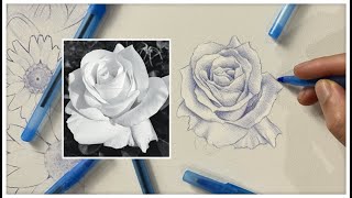 Realistic Flower Drawing with Pen  Real Time  Full Process [upl. by Iatnwahs]