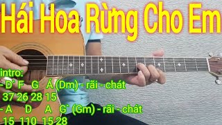 Hái Hoa Rừng Cho Em  Hướng dẫn solo và đệm hát  Điêu Chương [upl. by Cahra]