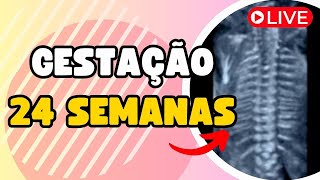 GESTAÇÃO 24 SEMANAS [upl. by Rahas649]