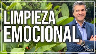 Estrategias para aumentar la autoestima y sanar traumas emocionales  Pablo Gómez psiquiatra [upl. by Llerref2]