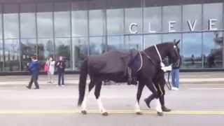 Riderless Horse Police Memorial Parade 2014 [upl. by Iralav266]