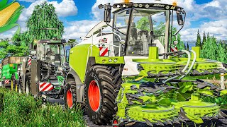 MAIS HÄCKSELN 13 Auftakt in Talbach CLAAS Jaguar und KRONE BigX rollen an  FARMING SIMULATOR 19 [upl. by Jarlath858]