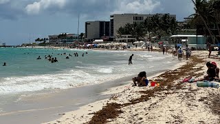 🔴 Playa del Carmen Mayo 2024  🔴 Llegó SARGAZO a la playas públicas [upl. by Namzed28]