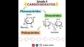 Carbohidratos Monosacáridos Disacáridos y Polisacáridos  Podcast de Ciencia [upl. by Htedirem]