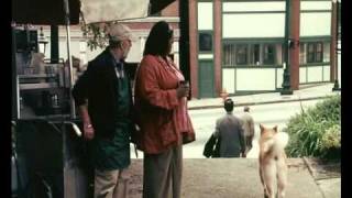 Trailer HACHIKO  AMIGO PARA SEMPRE PT [upl. by Vivienne]