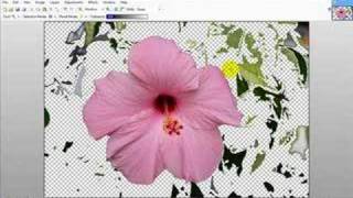 PaintNET Basics  Removing background in Paint NET [upl. by Atikaj]