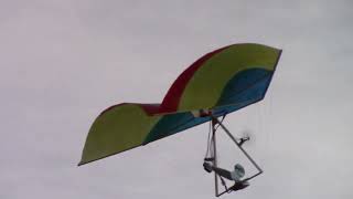 Minie Rogallo Wing Hang Glider [upl. by Sang]