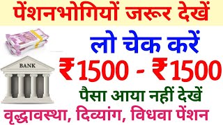 Pension New Update  Pension Bank mein aayi hain ya nahi kaise check Kare  New pension list 2024 [upl. by Malarkey]