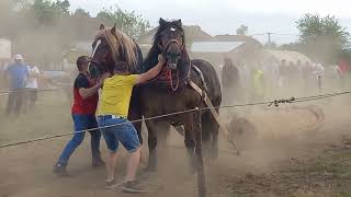 ŠTRAPARIJADA  TEŠKA  DRUGI PAR  D GAREVCI  PRIJEDOR 03082024 [upl. by Thain813]