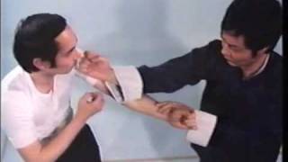 Wing Chun Basic Techniques part 1 [upl. by Alahcim988]