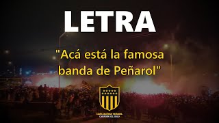 quotAcá está la famosa banda de Peñarolquotquot LETRA  PEÑAROL [upl. by Virgilio602]