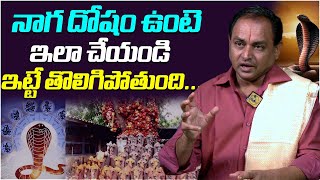 నాగ దోషం పోవాలంటే ఇలా చేయండి   Naga Dosham Pariharam  How To Get Rid Of Naga Dosham [upl. by Fremont]