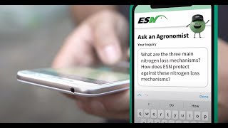 Ask An Agronomist What Are The Main Ways We Lose Nitrogen [upl. by Trilly169]