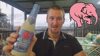 Delirium Tremens  Beer Review [upl. by Ahseuqram]