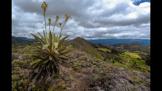 Farallones de Lenguazaque a Cucunuba  Cundinamarca [upl. by Nahtannoj]