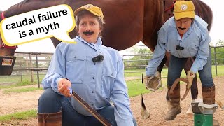 Farriers be like 🤠  Funny Horse Videos [upl. by Eolhc]