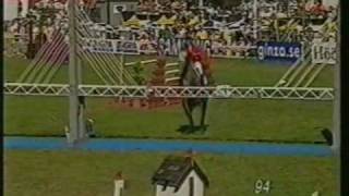 CLINTON I Holstein stallion at Falserbo Derby by wwwequineevolutioncom [upl. by Almeta]