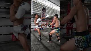 Some Muay Thai Sparring [upl. by Yelsnik]