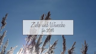 Wünsche und Ziele für 2016  Persönliches Blog amp Youtube [upl. by Irehc297]