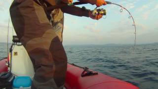 jigging  big Bluefin Tuna au jig en nokill by jojo [upl. by Ause]