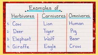 10 Examples of Herbivores Carnivores and Omnivores  Herbivores Carnivores and Omnivores Animal Name [upl. by Mullac40]