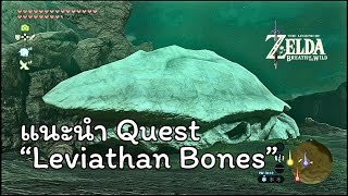 แนะนำ Quest  Leviathan Bones「巨大クジラの化石」 The Legend of ZELDA  Breath of the Wild [upl. by Anilag]