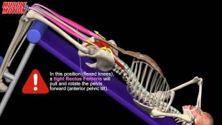 Decline SitUp Anatomy kinesiology and common mistake [upl. by Harbed]