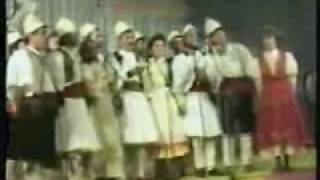 Ansambli Folklorik Çipini fitues i FFGJ1994 bilbilat ne kenge [upl. by Aimac]