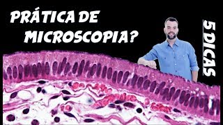 5 Dicas Aprenda a Reconhecer Lâminas de Microscopia [upl. by Erfert978]