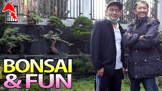 BONSAI in INDONESIA [upl. by Devina]