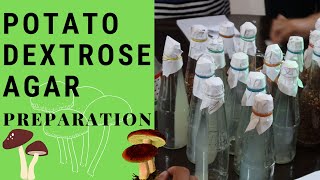 Mushroom Production Potato Dextrose Agar Preparation  PDA [upl. by Severen720]