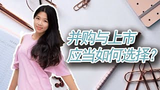 【美国公司法20讲（16）】Instagram10亿美元被收购，WeWork冲击IPO惨遭失败三只松鼠三次冲击创业版终于成功并购与上市，创始人退出该选哪条路？并购是传说中的卖儿卖女么？IPO和并 [upl. by Girardo]