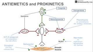 Antiemetics and Prokinetics [upl. by Nadabus]