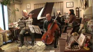 mozart piano trio k254 [upl. by Enelehs]