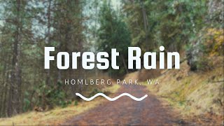 Forest Rain Pacific Northwest Ambience Sounds ASMR 1hr for relaxing sleep study [upl. by Aisyram]