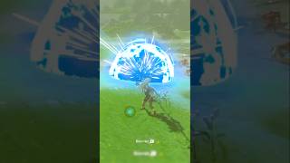 This Was Complete Skill Sarcasm zelda letsplaybreathofthewild videogame gaming funny [upl. by Kassie]