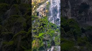 Neture waterfall mountains nature relaxing music shorts [upl. by Analem]