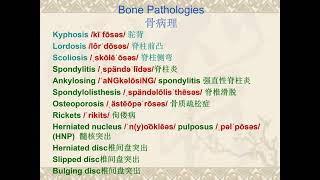 3 Skeletal System 7 Bone diseases and pathologies 骨骼系统 7 骨病 [upl. by Akitan]